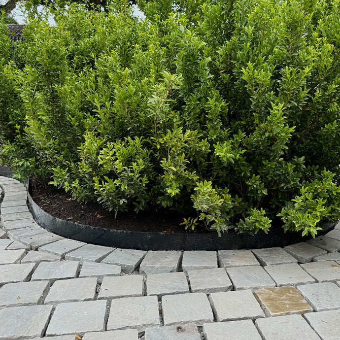 Black steel dividers in the garden of Villa Arte, dividing the natural stone tiles from the greenery